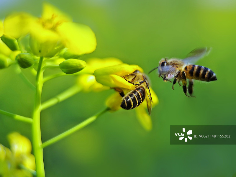 我来啦图片素材
