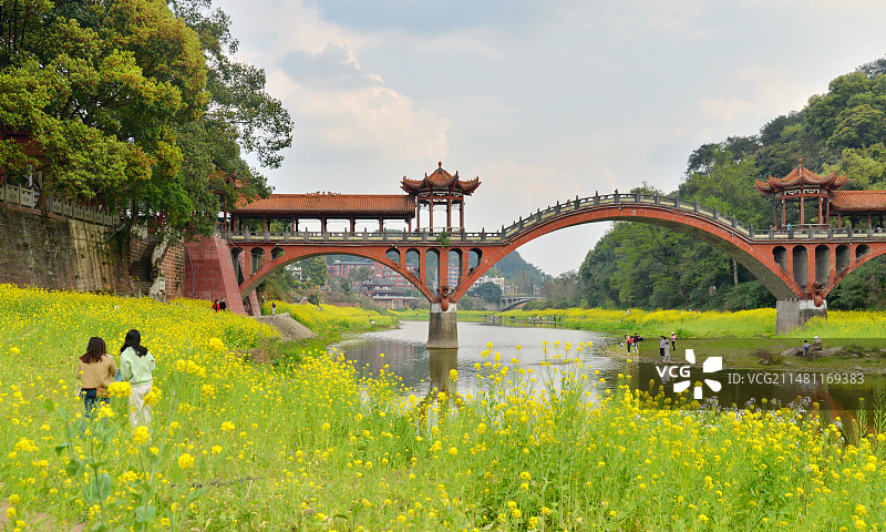 春天里的油菜花和拱桥,四川乐山大佛风景区，南门外图片素材