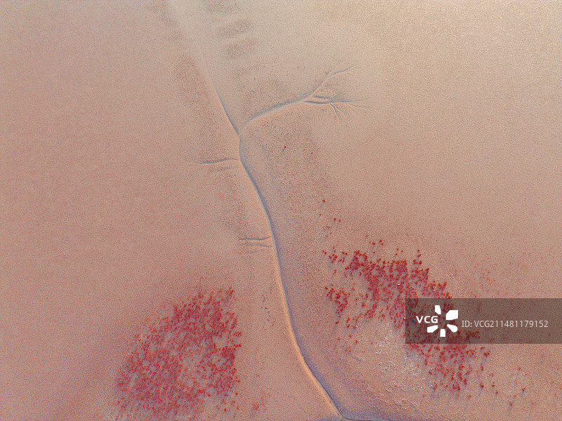 东营红滩湿地旅游区航拍视角图片素材