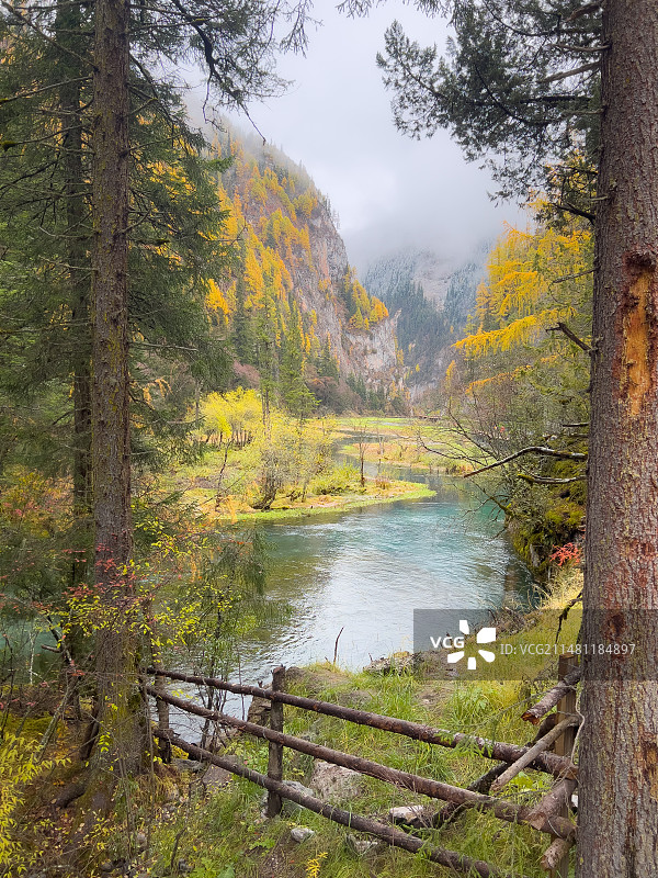 晨雾笼罩下的天鹅海、似一幅年代久远泛黄的油画。图片素材