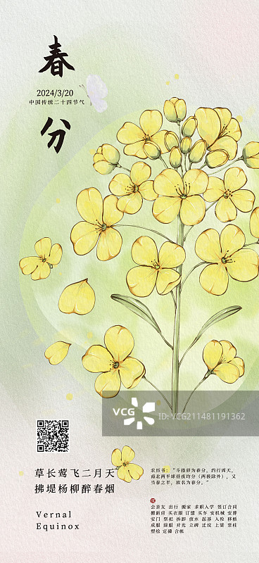 国潮风手绘小清新二十四节气花卉植物海报展板之立春春分油菜花图片素材