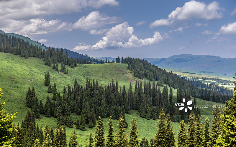 那拉提草原图片素材