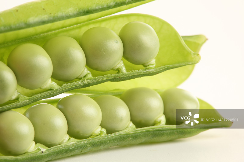 绿豆豌豆豆科植物图片素材