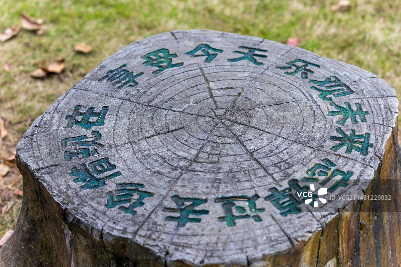 树桩刻字图片素材