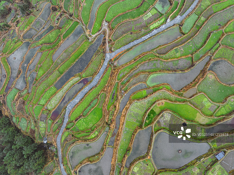 中国肇兴堂安侗寨梯田图片素材