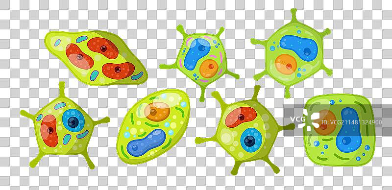 植物绿色细胞图片素材