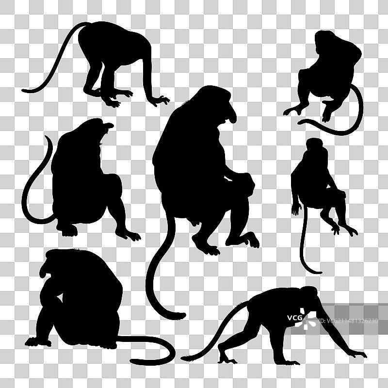 长鼻猴稀有动物剪影图片素材