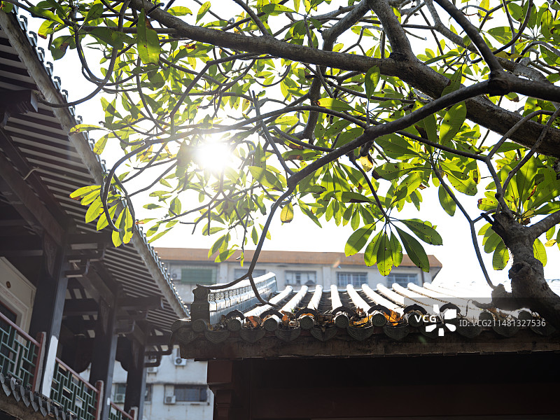 海口琼台书院白昼光影风光图片素材