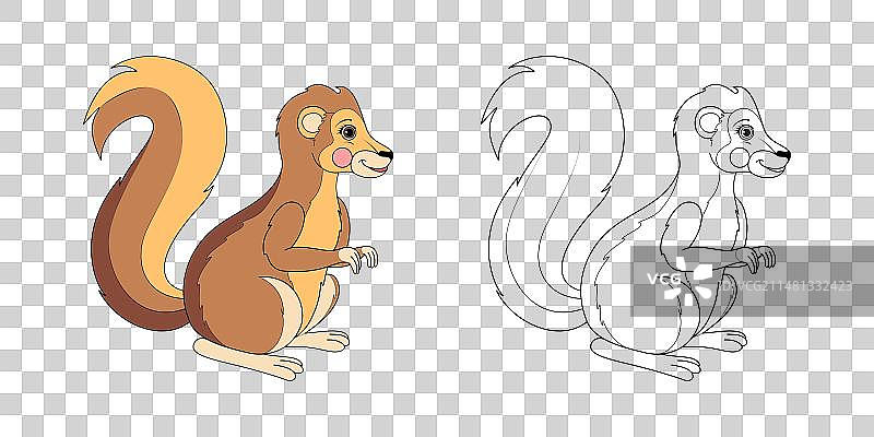 非洲地松鼠线条和颜色图片素材