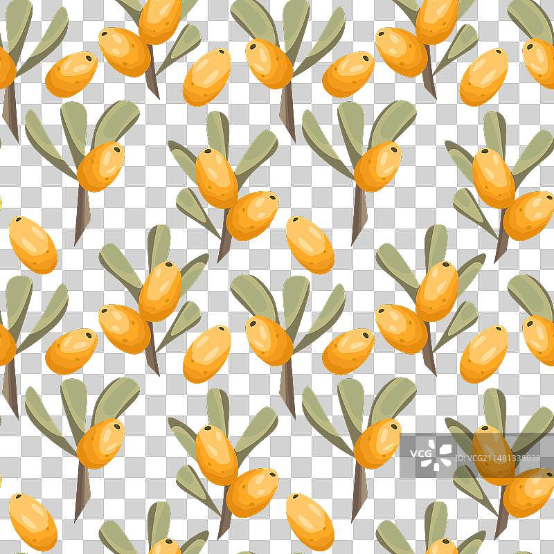 沙棘天然新鲜无缝图案图片素材