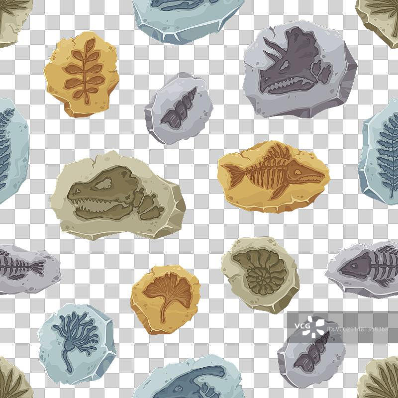 恐龙化石鱼类植物印记图案图片素材