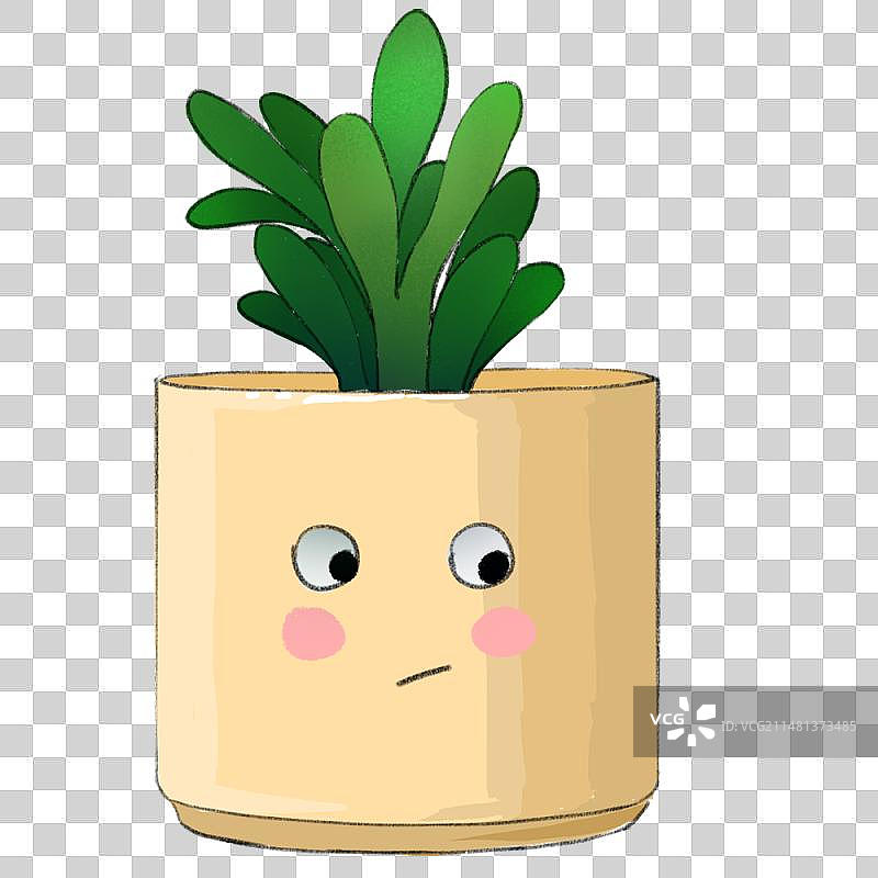 绿色多肉图片素材