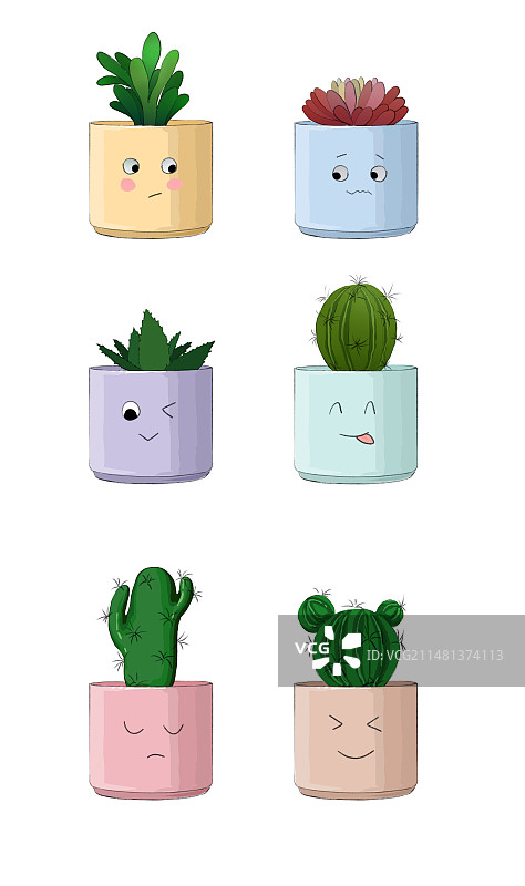 植物盆栽组合图片素材