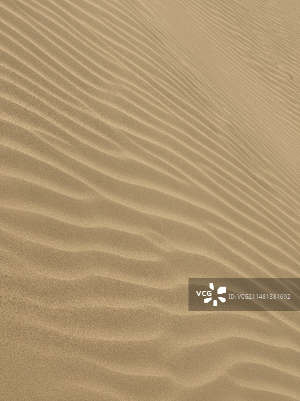 沙丘高角度视图图片素材