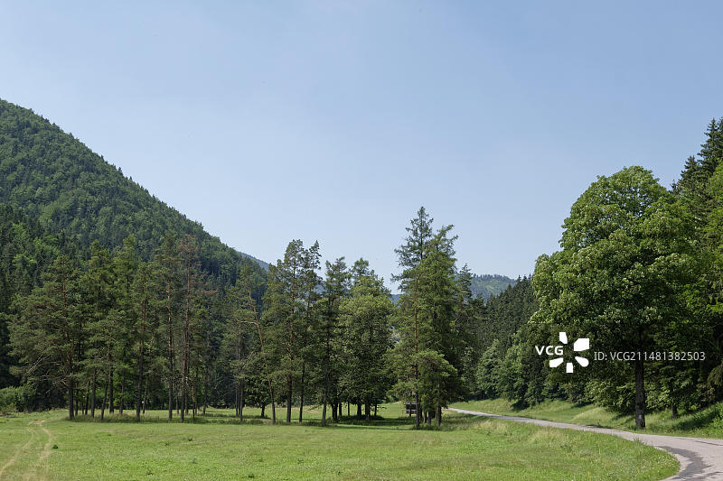 低塔特拉山国家公园的雷武卡山谷。利普托夫斯卡奥萨达，日利纳州，斯洛伐克，欧洲图片素材