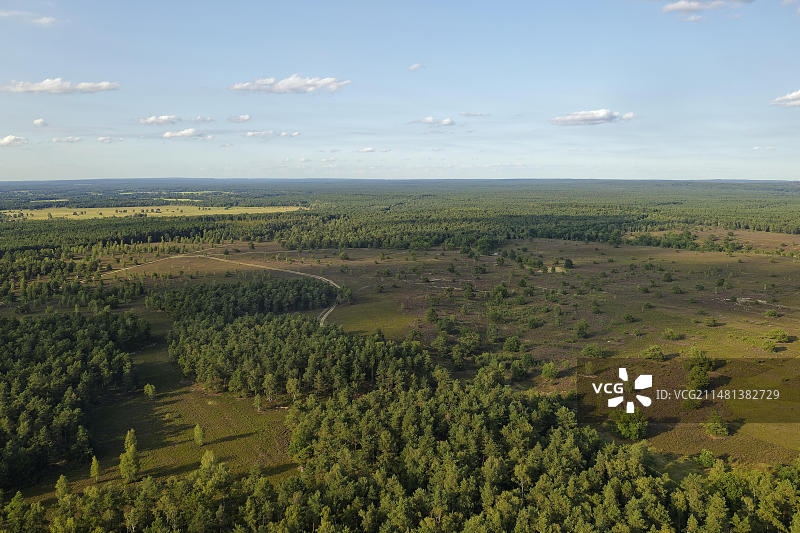 吕讷堡石楠地奥斯特海德石楠花盛开航拍图片素材
