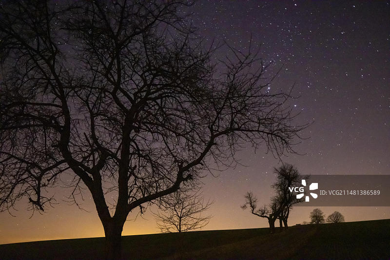 霍赫布克斯多夫全景：拿破仑菩提树与纪念石，纪念一战受害者图片素材