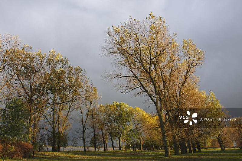 德国下萨克森州斯特劳豪瑟板Unterweserinsel秋季森林图集图片素材