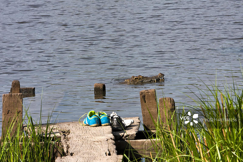越南吉仙国家公园鳄鱼湖，码头上的鞋子图片素材
