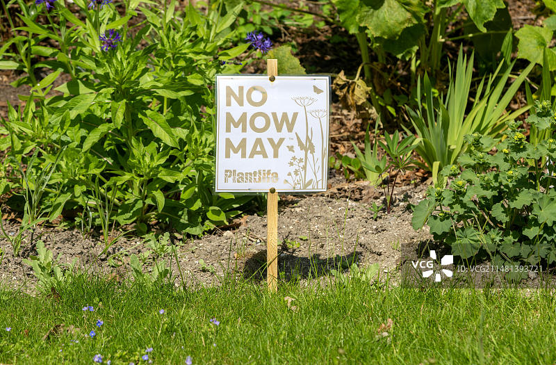 五月禁割草标志，位于英国威尔特郡伍德福德谷伍德福德村绿地图片素材