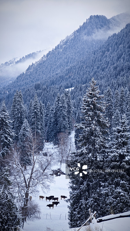 雪国天堂图片素材