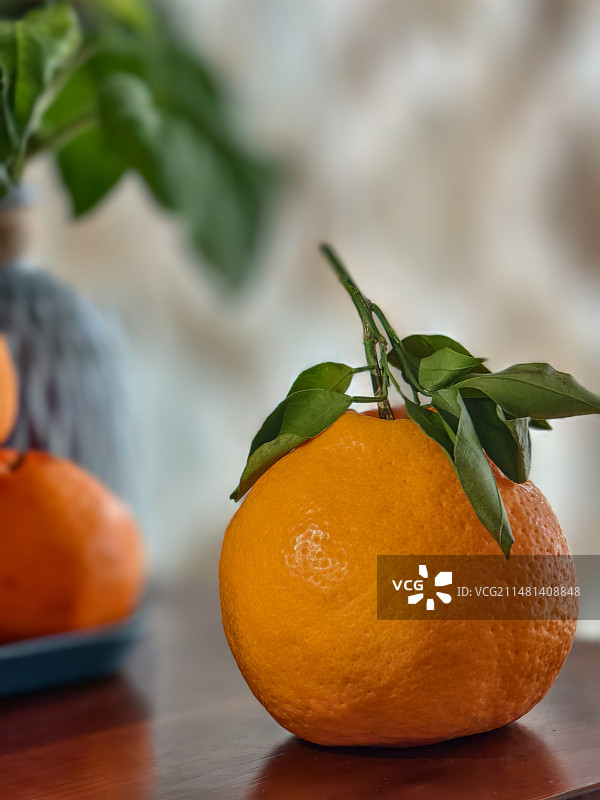 春见柑图片素材