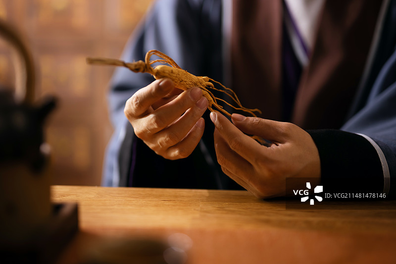 中医手拿人参特写图片素材