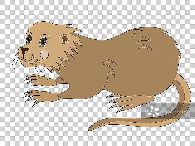 可爱海狸鼠图片素材