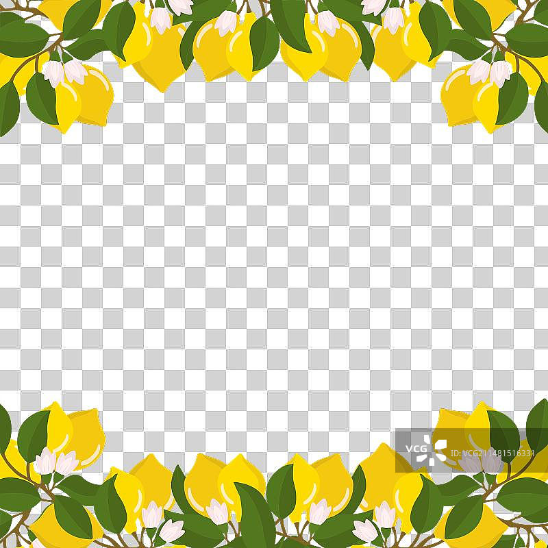 柠檬枝和柠檬的组合边框图片素材