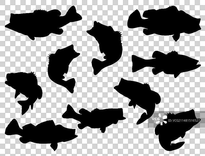 鲈鱼剪影艺术白色背景图片素材