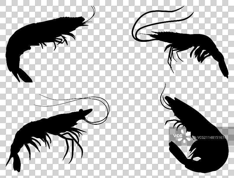 虾剪影艺术图片素材