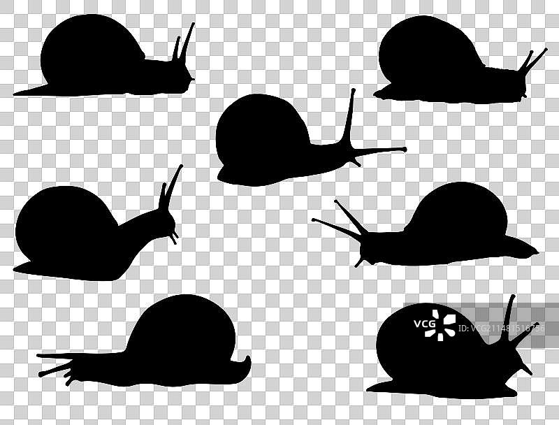 蜗牛剪影艺术图片素材