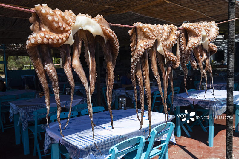 希腊罗德岛餐厅阳光下晾晒的章鱼图片素材
