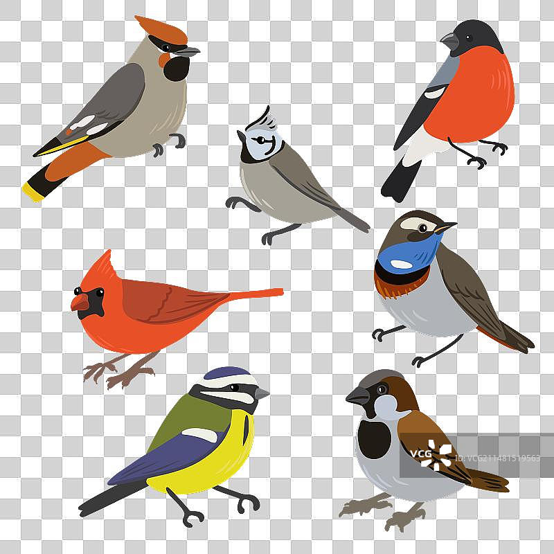 鸟类简笔画图片素材