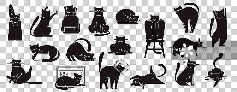 可爱的黑猫坐着和走着图片素材