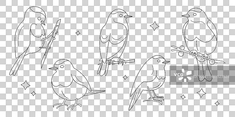 小鸟剪影合集图片素材