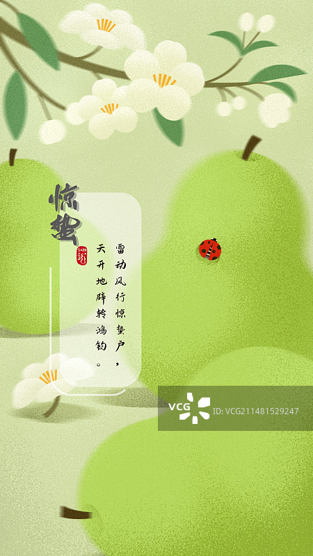 弥散风-惊蛰节气-梨和梨花海报图片素材