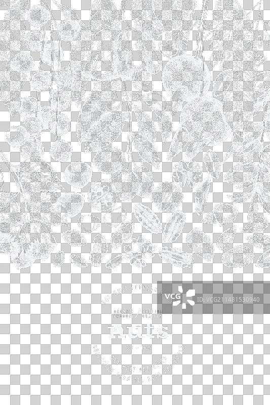 手绘坚果树枝和果仁模板图片素材