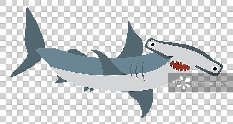 卡通锤头鲨图片素材