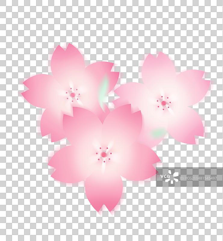 春季弥散风格粉色樱花插画图片素材