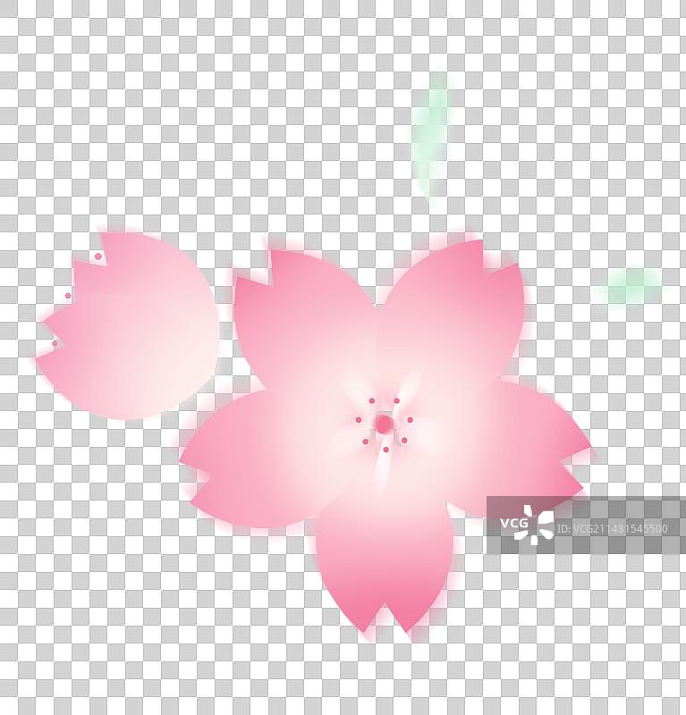 春季弥散风格粉色樱花插画图片素材