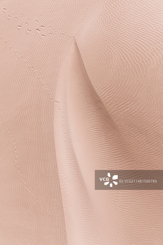 沙之形图片素材