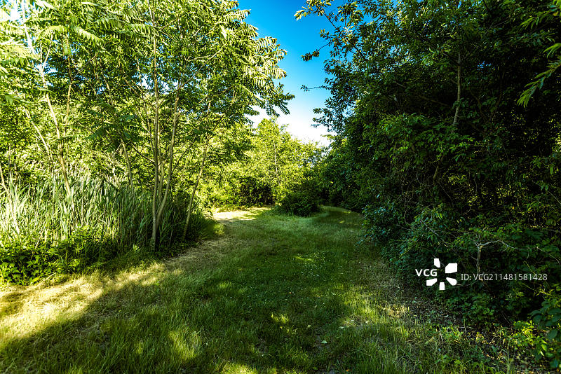 在磨石小径上，通往贫瘠岛和弗洛伊德·贝内特机场的死马湾，美国纽约布鲁克林图片素材