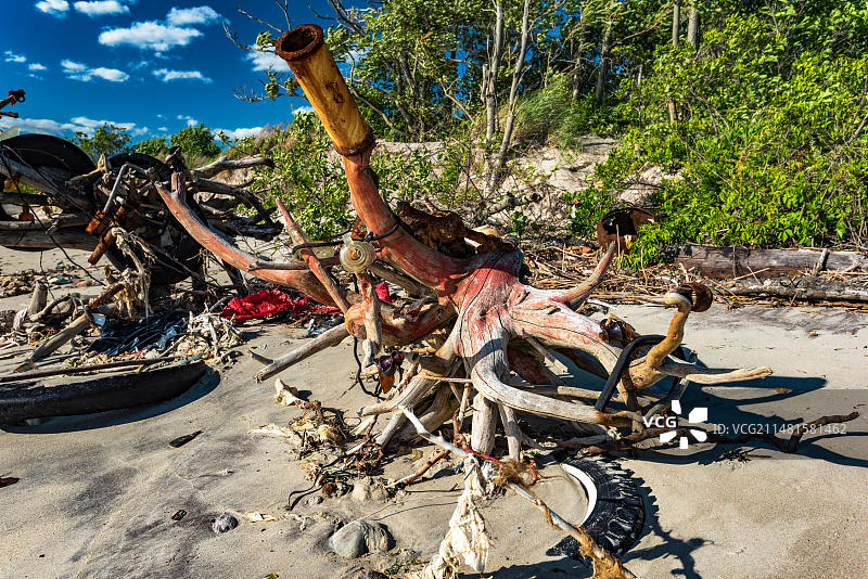 美国纽约布鲁克林牙买加湾的贫瘠岛海岸图片素材