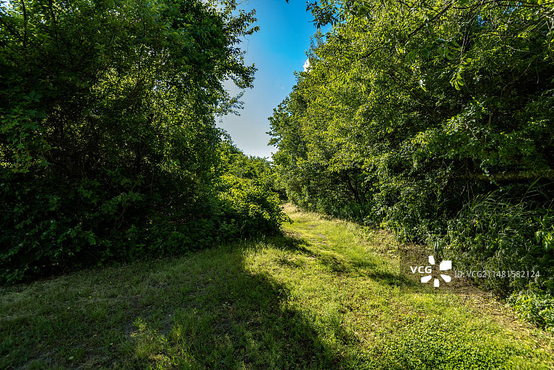 在磨石小径上，通往贫瘠岛和弗洛伊德·贝内特机场的死马湾，美国纽约布鲁克林图片素材