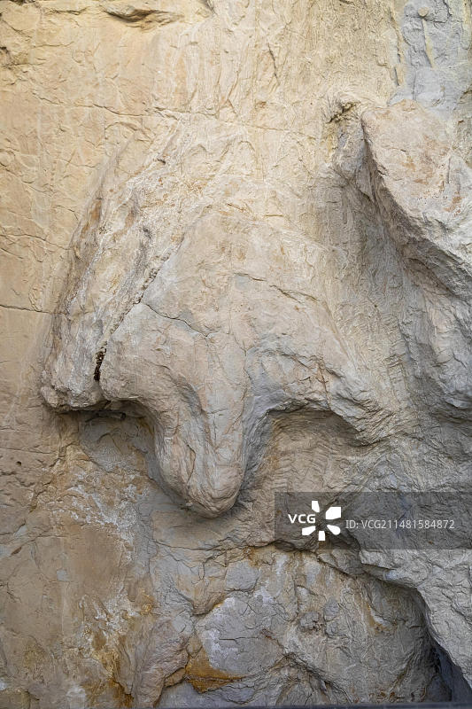 科罗拉多州戈尔登市三角龙足迹小径上的鸭嘴龙足迹（原粘土矿地点）图片素材