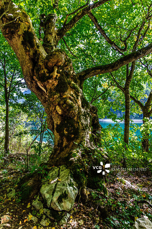 黑山科拉欣，比奥格勒山国家公园和冰川湖图片素材