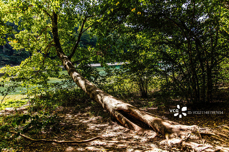 黑山科拉欣，比奥格勒山国家公园和冰川湖图片素材