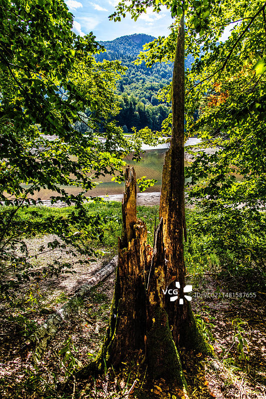 黑山科拉欣，比奥格勒山国家公园和冰川湖图片素材