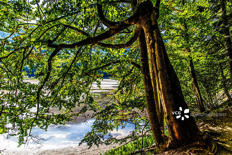 黑山科拉欣，比奥格勒山国家公园和冰川湖图片素材